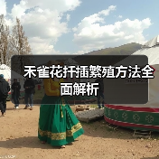 禾雀花扦插繁殖方法全面解析(图1) 禾雀花扦插繁殖方法全面解析(图1)