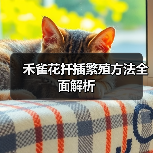 禾雀花扦插繁殖方法全面解析(图2) 禾雀花扦插繁殖方法全面解析(图2)