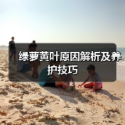 绿萝黄叶原因解析及养护技巧（图2）
