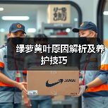 绿萝黄叶原因解析及养护技巧（图1）