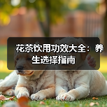 花茶饮用功效大全：养生选择指南（图4）