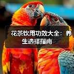 花茶饮用功效大全：养生选择指南（图2）