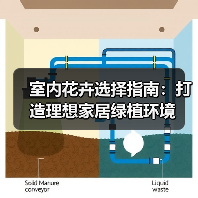 室内花卉选择指南：打造理想家居绿植环境（图4）