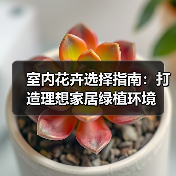 室内花卉选择指南：打造理想家居绿植环境（图1）