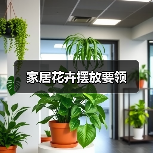 家居花卉摆放要领（图2）