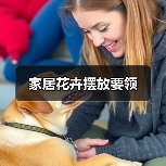 家居花卉摆放要领（图3）