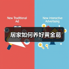 居家如何养好黄金葛(图1) 居家如何养好黄金葛(图1)