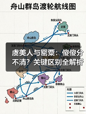 虞美人与罂粟：傻傻分不清？关键区别全解析（图1）