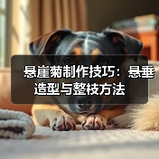 悬崖菊制作技巧:悬垂造型与整枝方法(图4) 悬崖菊制作技巧:悬垂造型与整枝方法(图4)