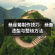 悬崖菊制作技巧:悬垂造型与整枝方法(图2) 悬崖菊制作技巧:悬垂造型与整枝方法(图2)
