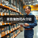黄菖蒲的花卉介绍（图1）