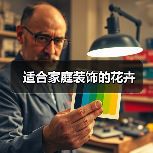 适合家庭装饰的花卉（图2）