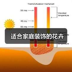适合家庭装饰的花卉（图4）