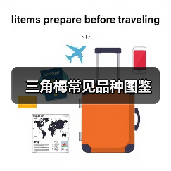 三角梅常见品种图鉴(图3) 三角梅常见品种图鉴(图3)