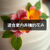 适合室内养植的花卉（图3）