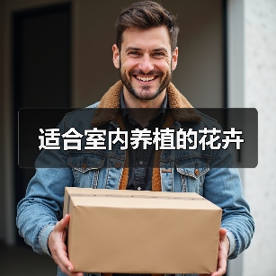 适合室内养植的花卉（图4）