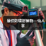 最佳防辐射植物—仙人掌（图1）