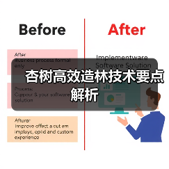 杏树高效造林技术要点解析(图2) 杏树高效造林技术要点解析(图2)