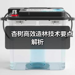 杏树高效造林技术要点解析(图4) 杏树高效造林技术要点解析(图4)