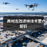 杏树高效造林技术要点解析(图3) 杏树高效造林技术要点解析(图3)