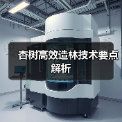 杏树高效造林技术要点解析(图1) 杏树高效造林技术要点解析(图1)