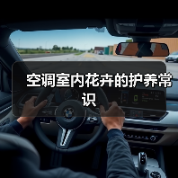 空调室内花卉的护养常识（图1）