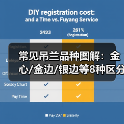 常见吊兰品种图解:金心/金边/银边等8种区分(图4) 常见吊兰品种图解:金心/金边/银边等8种区分(图4)