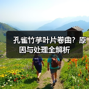 孔雀竹芋叶片卷曲?原因与处理全解析(图1) 孔雀竹芋叶片卷曲?原因与处理全解析(图1)