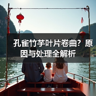孔雀竹芋叶片卷曲?原因与处理全解析(图3) 孔雀竹芋叶片卷曲?原因与处理全解析(图3)