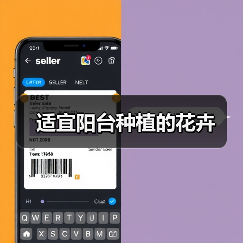 适宜阳台种植的花卉（图3）