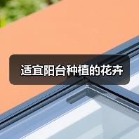 适宜阳台种植的花卉（图1）