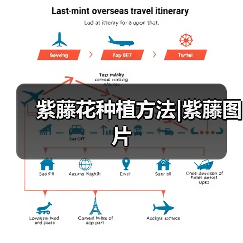 紫藤花种植方法|紫藤图片(图2) 紫藤花种植方法|紫藤图片(图2)