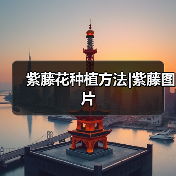 紫藤花种植方法|紫藤图片(图3) 紫藤花种植方法|紫藤图片(图3)