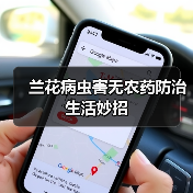 兰花病虫害无农药防治生活妙招(图2) 兰花病虫害无农药防治生活妙招(图2)