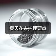 夏天花卉护理要点(图4) 夏天花卉护理要点(图4)