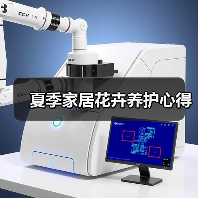 夏季家居花卉养护心得（图3）