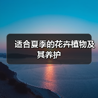 适合夏季的花卉植物及其养护(图4) 适合夏季的花卉植物及其养护(图4)