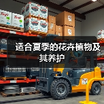 适合夏季的花卉植物及其养护(图2) 适合夏季的花卉植物及其养护(图2)