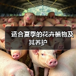 适合夏季的花卉植物及其养护(图1) 适合夏季的花卉植物及其养护(图1)