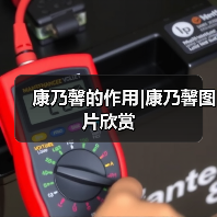 康乃馨的作用|康乃馨图片欣赏(图3) 康乃馨的作用|康乃馨图片欣赏(图3)