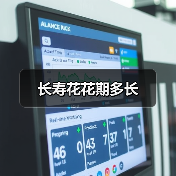 长寿花花期多长(图2) 长寿花花期多长(图2)