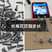 长寿花花期多长(图4) 长寿花花期多长(图4)