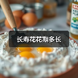 长寿花花期多长(图3) 长寿花花期多长(图3)