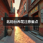 北阳台养花注意要点(图1) 北阳台养花注意要点(图1)