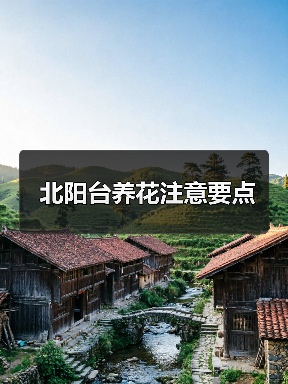 北阳台养花注意要点(图4) 北阳台养花注意要点(图4)