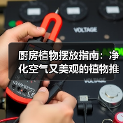 厨房植物摆放指南:净化空气又美观的植物推荐(图4) 厨房植物摆放指南:净化空气又美观的植物推荐(图4)