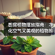 厨房植物摆放指南:净化空气又美观的植物推荐(图1) 厨房植物摆放指南:净化空气又美观的植物推荐(图1)