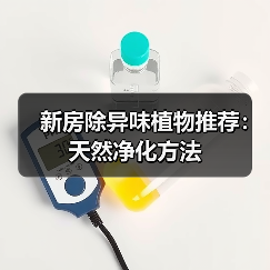 新房除异味植物推荐:天然净化方法(图2) 新房除异味植物推荐:天然净化方法(图2)