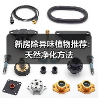 新房除异味植物推荐:天然净化方法(图3) 新房除异味植物推荐:天然净化方法(图3)