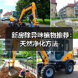 新房除异味植物推荐:天然净化方法(图1) 新房除异味植物推荐:天然净化方法(图1)